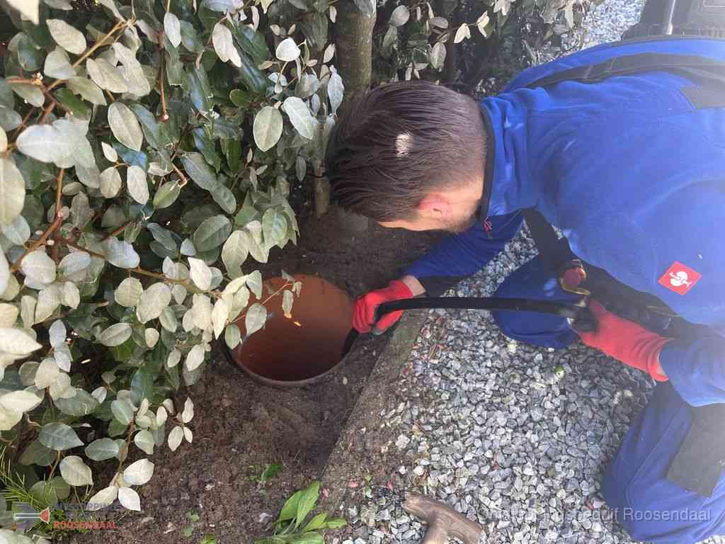 Rioolvliegjes Roosendaal Rioolvliegjes Roosendaal